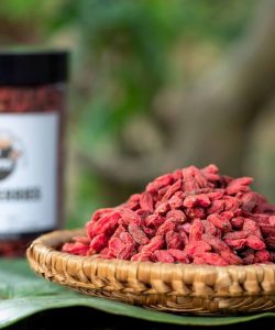 Goji Berries _ Kỷ Tử Tân Cương